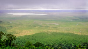 Ngorongoro Crater