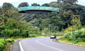 Nyungwe National Park