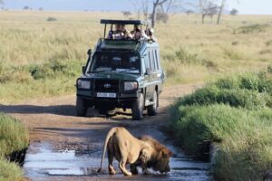 Game Drives in Akagera National Park