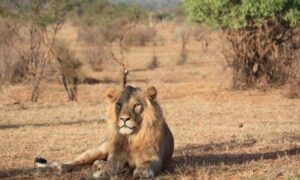 Samburu National Reserve