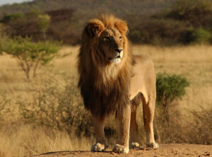 Arusha National Park