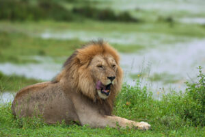 Tarangire National Park