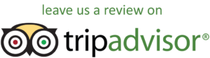 tripadvisor write review