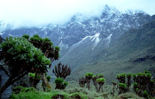 Rwenzori Mountains National Park Hiking Safari Rwenzori Mountains National Park Hiking Safari
