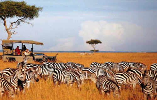 Maasai Mara Maasai Mara