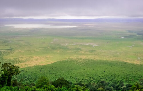 Ngorongoro Crater Ngorongoro Crater