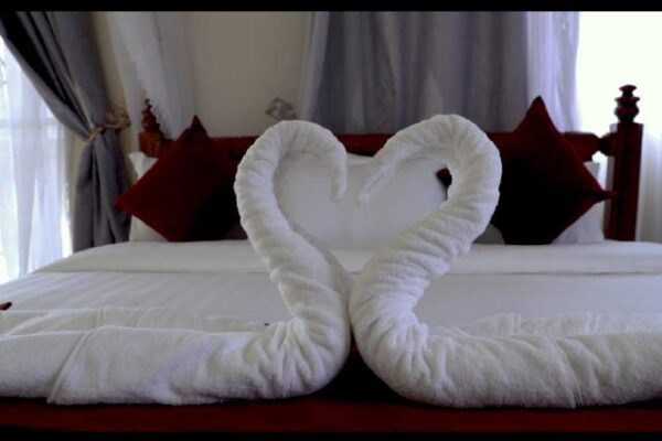 Jetville Lodge Uganda Jetville Lodge Uganda