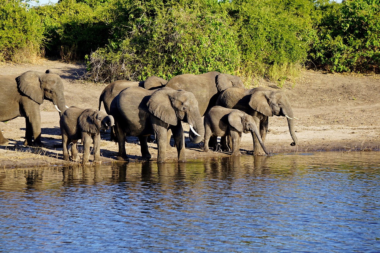 12-Day Southern Africa Adventure