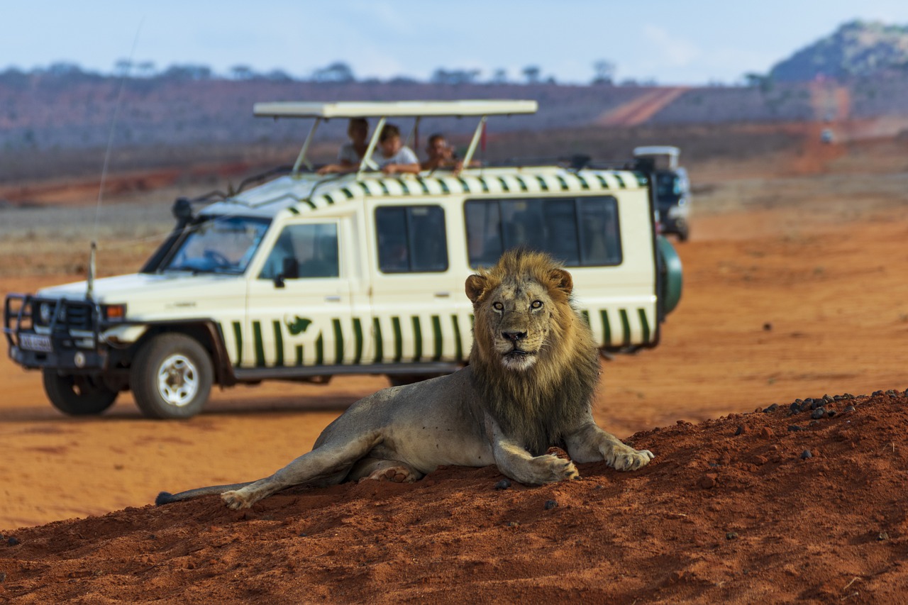 Game Drives in Akagera National Park