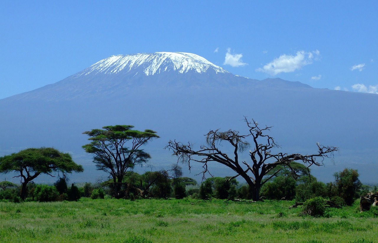 15-day Kilimanjaro and Serengeti safari