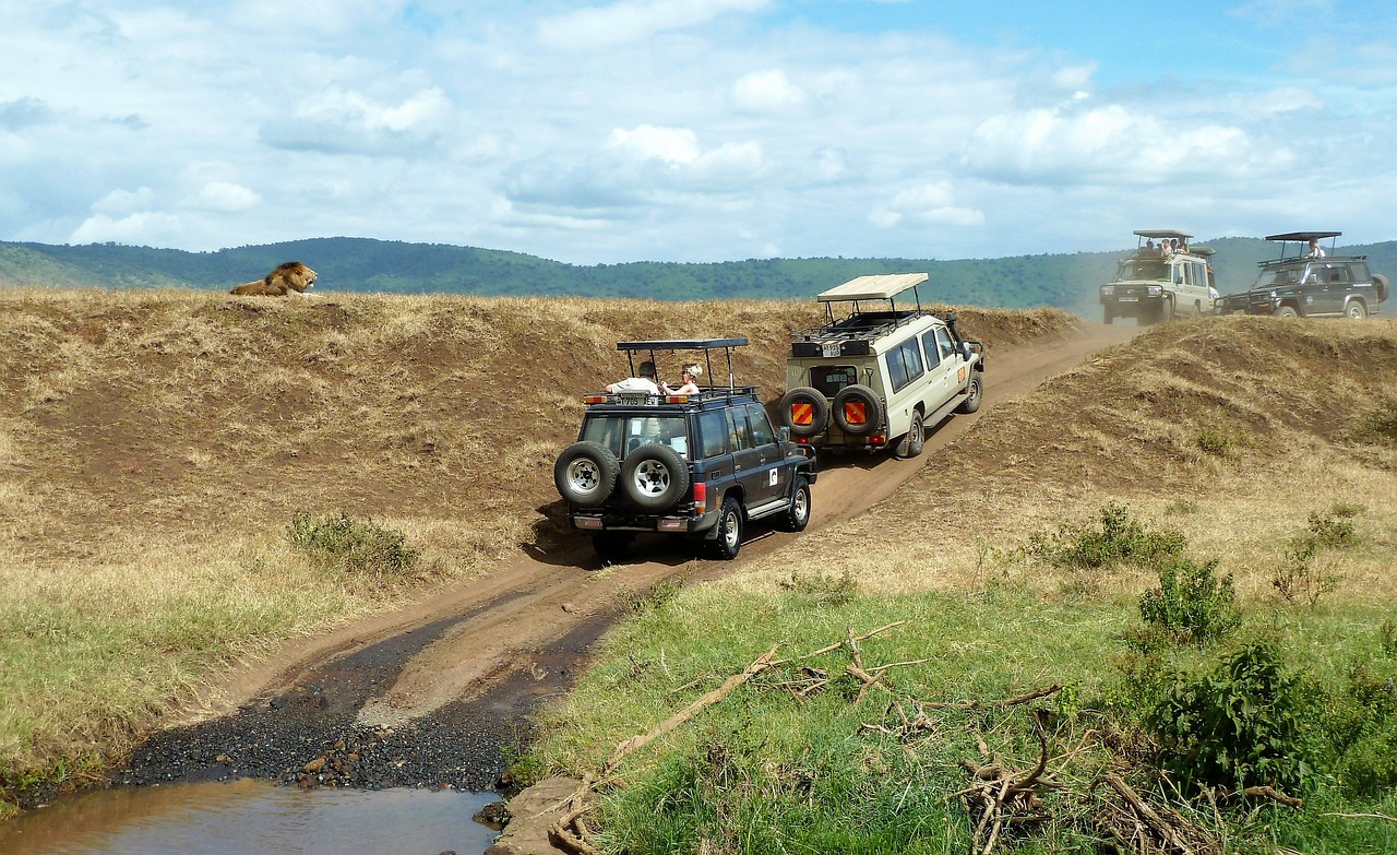 Wildlife Tanzania safari