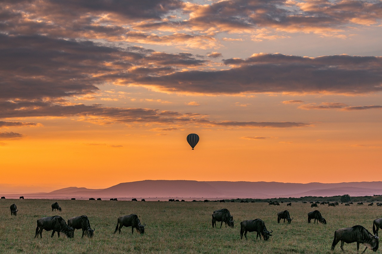 Serengeti | 10 Days Tanzania Wildlife Tour