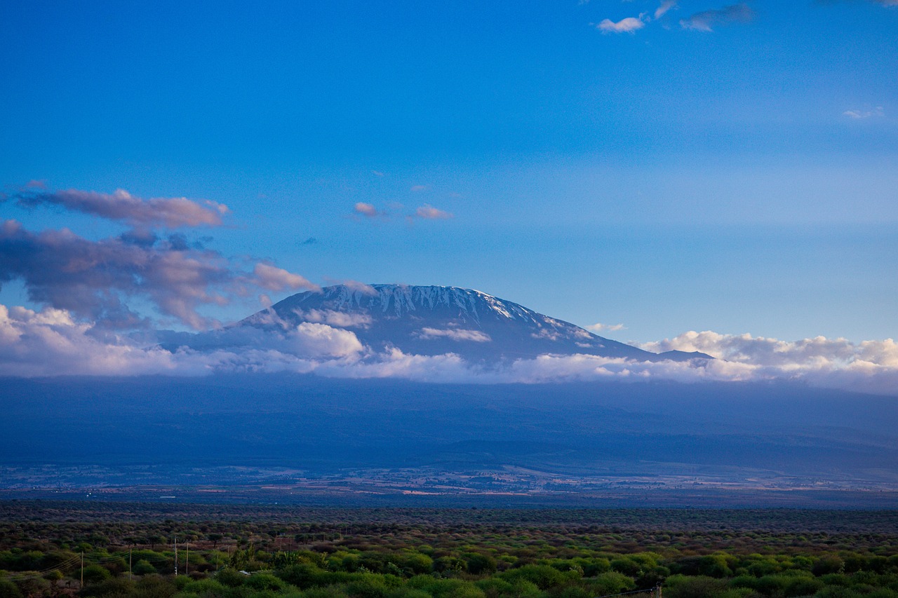 Tanzania safaris/ Best time to go on a Tanzania safari