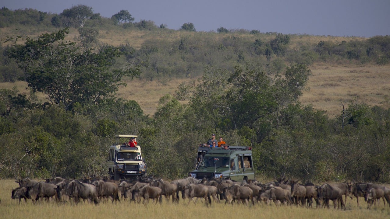15-day Kilimanjaro and Serengeti safari