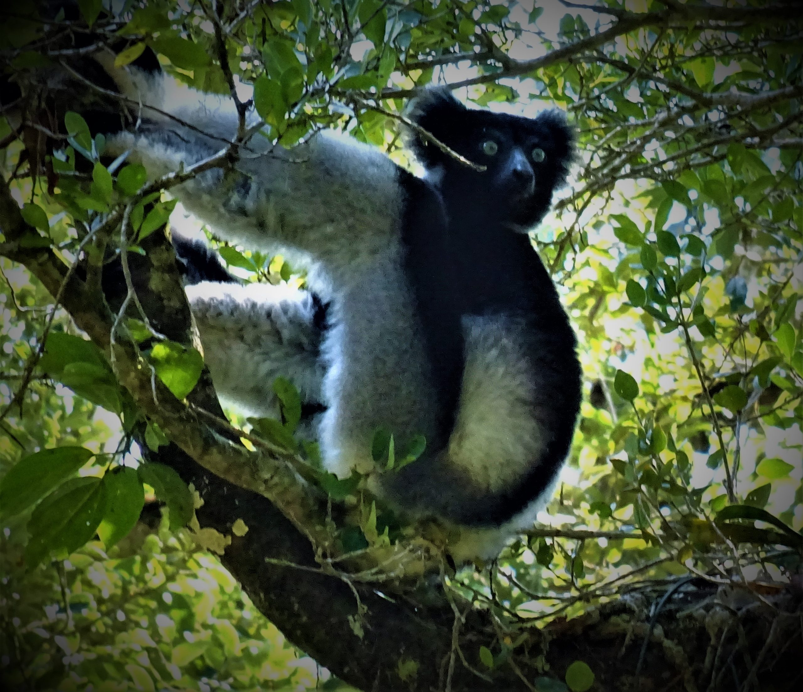 Madagascar east coast tour