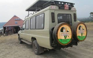 unforgettable gorilla trekking experience