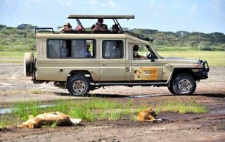 Luxury Big Five Safari Uganda