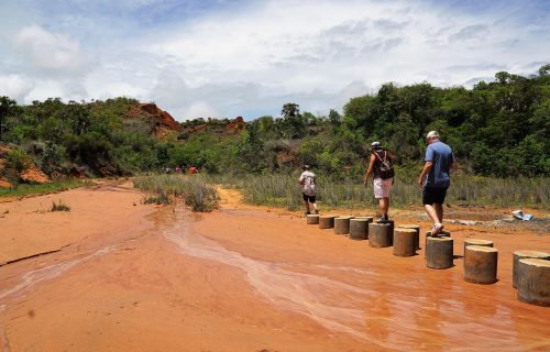 park-4323085_1280 park-4323085_1280