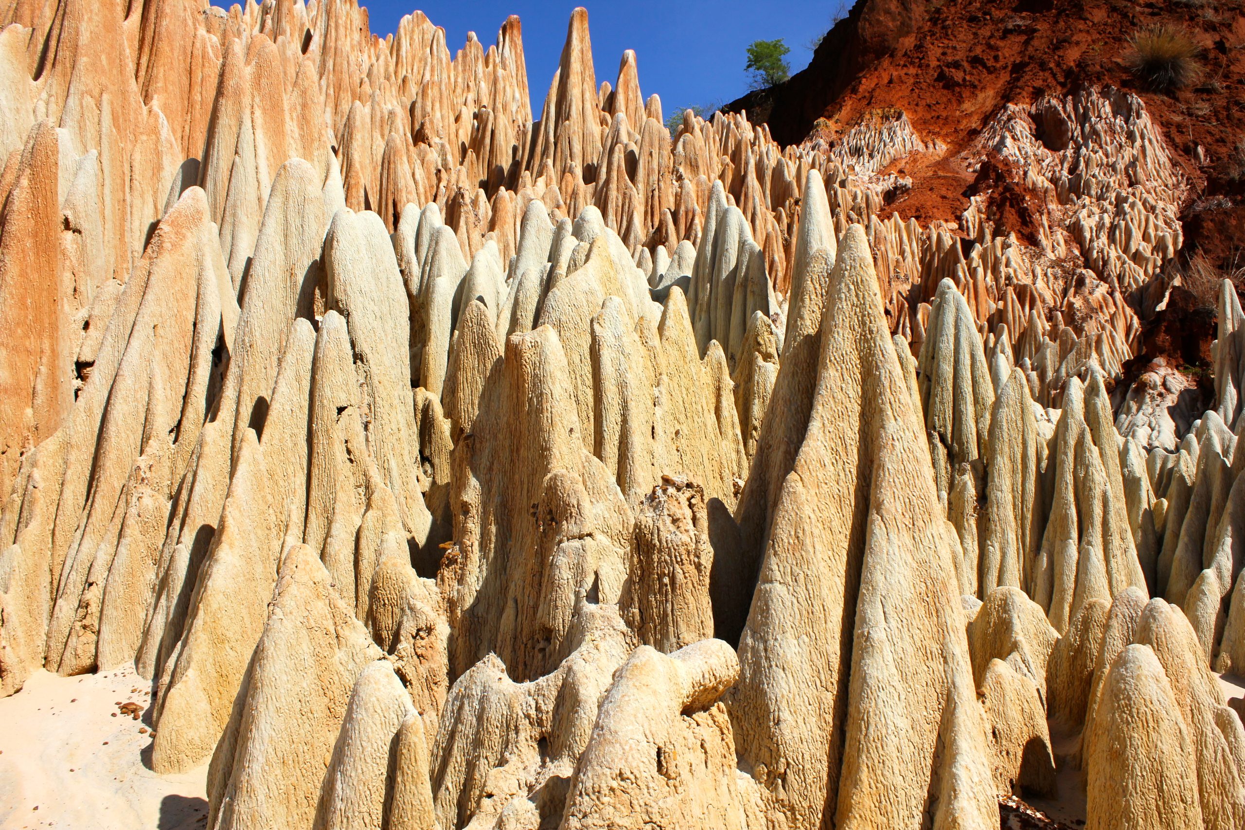 Madagascar northern tour