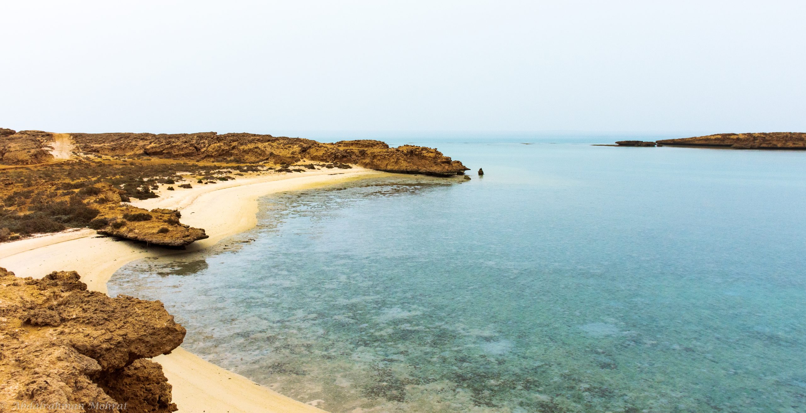 The Red Sea Reef