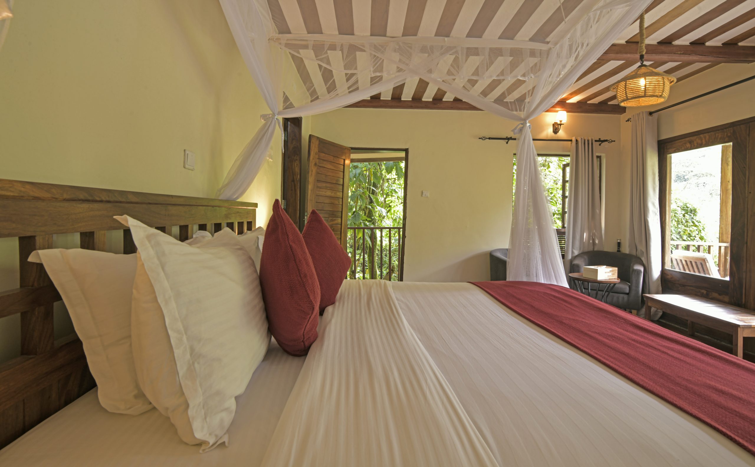 photographic safari in Uganda