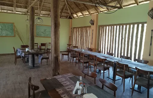 Pakuba Safari Lodge view Pakuba Safari Lodge view