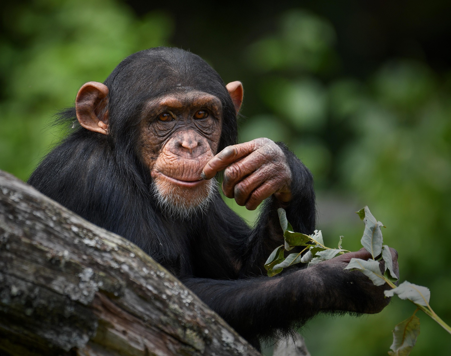 Solo Safari Uganda Guide