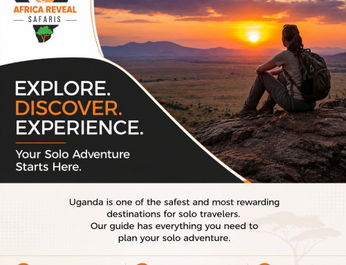 Solo Safari Uganda Guide